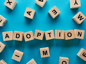 Adoptee Grief – What’s that then?